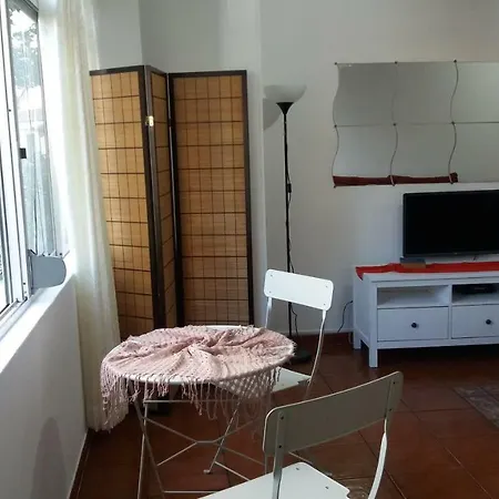 Apartment Alojamiento El Mirador Wifi 300mb Simetricos Candelaria